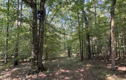 0 AURELLE RD., Strong, AR 71765