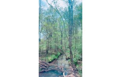 B Pat Luckett Rd., Canton, MS 39046