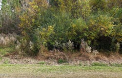 Sr 1100, Blounts Creek, NC 27814