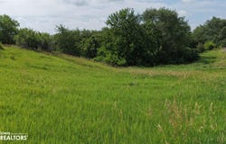 Tulip Ave, Geneva, IA 50633
