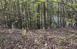 0 TN-125, Henderson, TN 38340