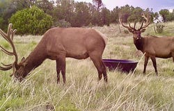 12630 CR 175, Kim, CO 81049