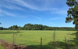 222 Reynland Dr, Cairo, GA 39828