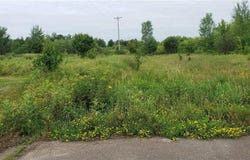 Xxx Ashland Avenue W, Almena, WI 54805