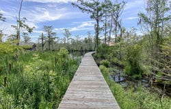 188 Billetts Bridge Road, Camden, NC 27921
