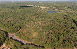 Groundhog Rd, Big Sandy, TX 75755
