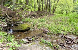 0 Sands Creek Rd., Hancock, NY 13783
