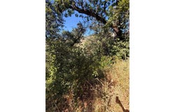 3403 Knob, Nice, CA 95464