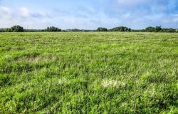 Tract 4 South Nassau Road, Round Top, TX 78954