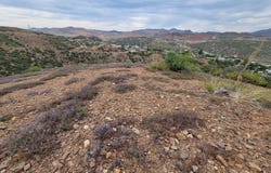 S Loomis Avenue, Miami, AZ 85539