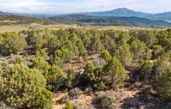 198 Crescent Lane, Glenwood Springs, CO 81601