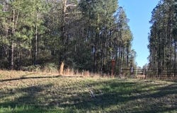 Hwy 26 E, Poplarville, MS 39470