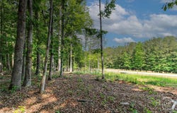 Statham, GA 30666