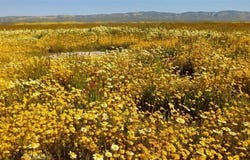 0 Arrowhead, California Valley, CA 93453