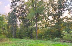 XXX (Tract 02) Wilde Pond, Story, AR 71970-9999