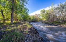 34 Cottonwood Bench Road, Wilsall, MT 59086
