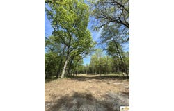 0 Old Scout Drive, Leitchfield, KY 42754