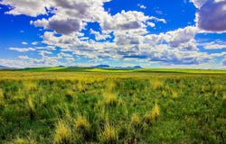 Little Muddy Creek Ranch, Cascade, MT 59421