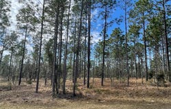 133RD AVE SE, DUNNELLON, FL 34431