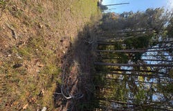 7730 Highway 75, Pinson, AL 35126