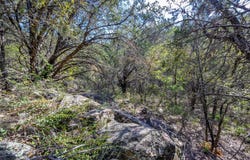 Ward Mt, Santo, TX 76472