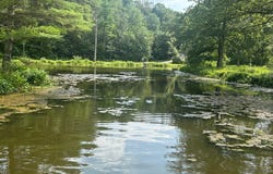 Lot 218 Brookdale Road, Bartonsville, PA 18321