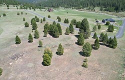 12981 Zoon Lane, Donnelly, ID 83615