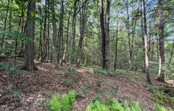 Deer Run lot: 35, Becket, MA 01223