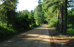 520 Little River 25, AR 71836