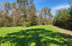 River Road, White Oak, NC 28399