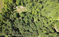 06473 RED PINE, CHARLEVOIX, MI 49720