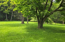 127 Wyoming Street, Warsaw, NY 14569