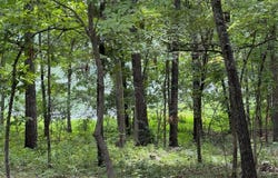 Monongahela Drive, Cherokee Village, AR 72529