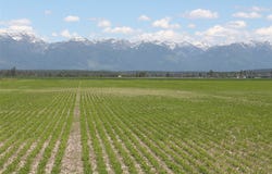 nhn Farm Road, Kalispell, MT 59901