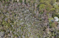 Lot 623 Laurel Road, Pocono Summit, PA 18346