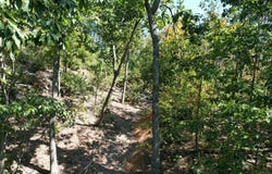 Evans sisters rd, Flemingsburg, KY 41041