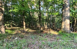 Lot 8 Apache Trail, Fancy Gap, VA 24328