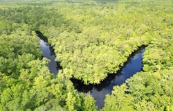 10 Doc Simmons Rd, Sopchoppy, FL 32358