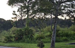 00 Prima Vista Boulevard, Port Saint Lucie, FL 34952