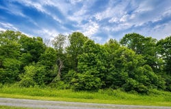 Iron Horse Lane lot: 6, Dryfork, WV 26263
