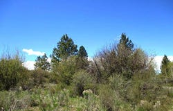 0 Forest View Drive, Chiloquin, OR 97624