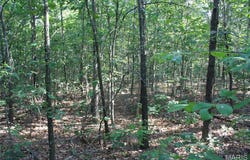 0 County Road 750, Centerville, MO 63633