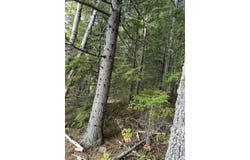 RT 157 Medway Road, Molunkus Twp, ME 04459