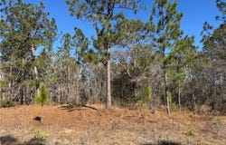 N Morningside Drive, GA 30474