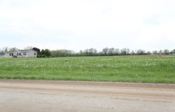 1000 E Beal City Road, Rosebush, MI 48878