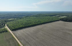 East 4331 Lake Chapin Rd, Berrien Springs, MI 49103