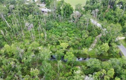 Cherry St., Perry, FL 32347