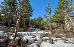 German Brown Ln., Chiloquin, OR 97624