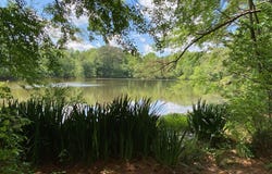 Zebulon, NC 27597