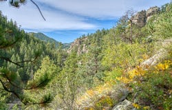 10697 COUNTY ROAD 43, Drake, CO 80515